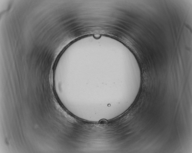 X0000103171084200809121855