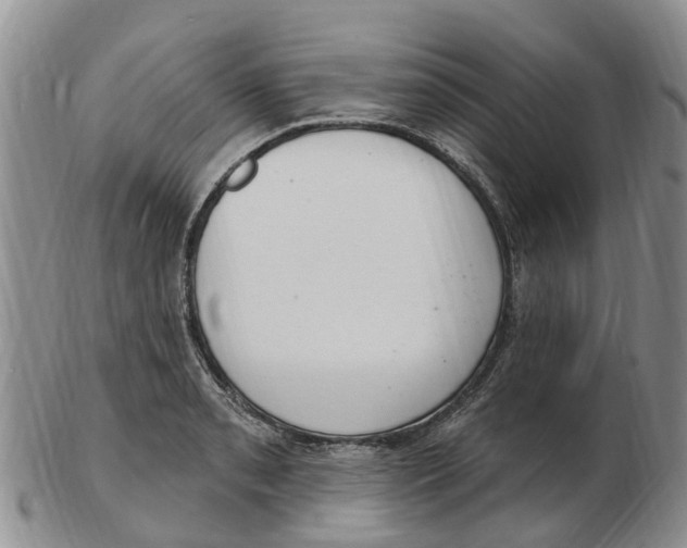 X0000103171085200809121855