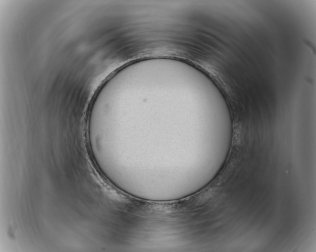 X0000103171086200809121855