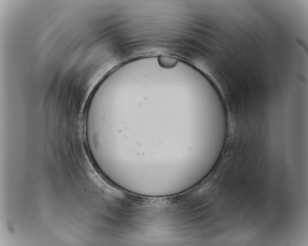 X0000103171090200809121855