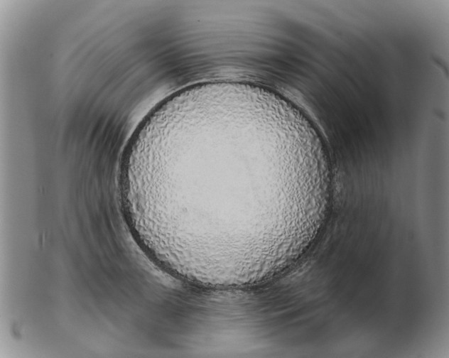 X0000103171091200809121855