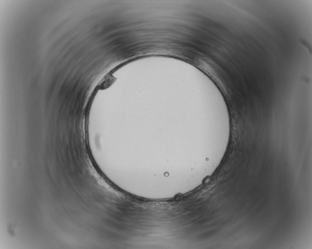 X0000103171092200809121855