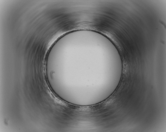 X0000103171094200809121855