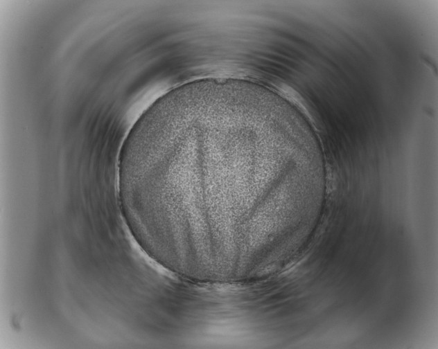 X0000103171095200809121855