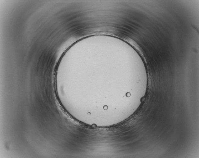 X0000103171096200809121855