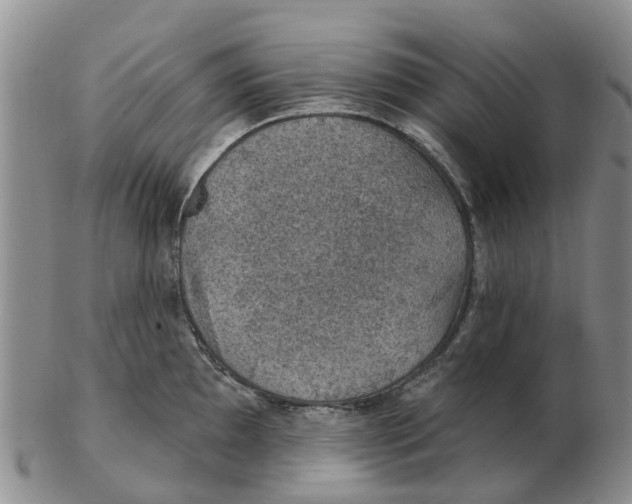 X0000103171097200809121855