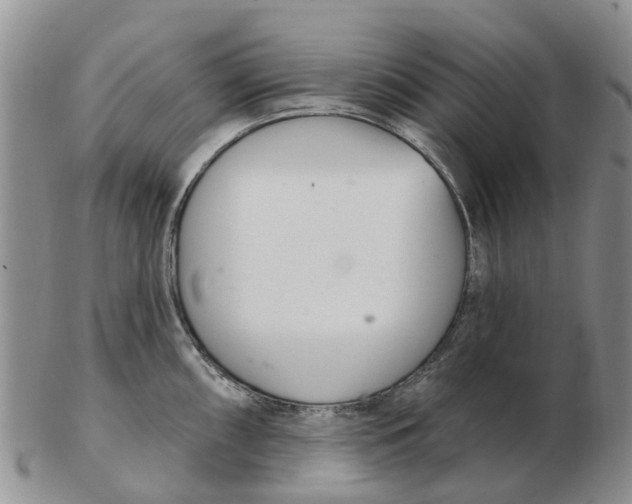 X0000103171098200809121855