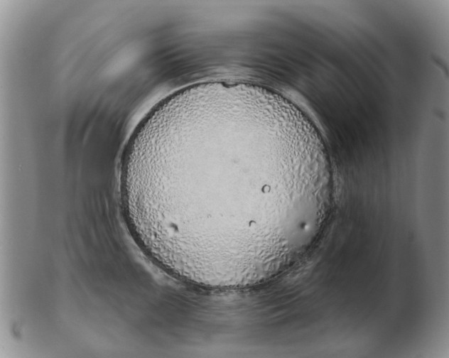 X0000103171099200809121855