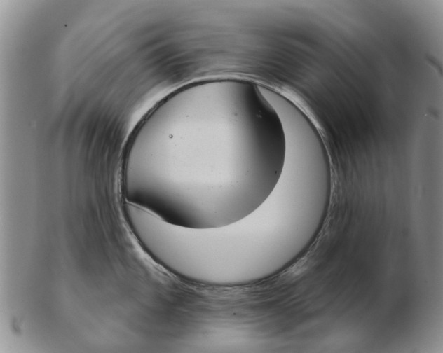 X0000103171101200809121855