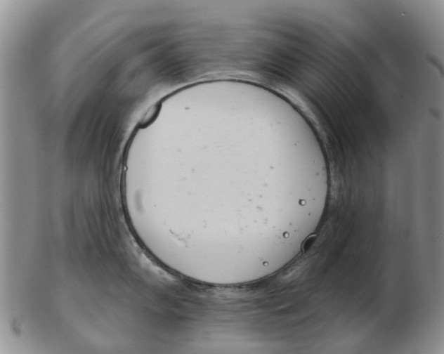 X0000103171102200809121855