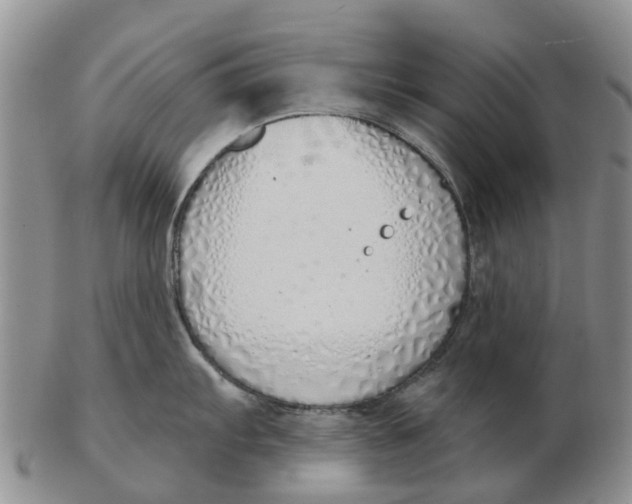 X0000103171103200809121855