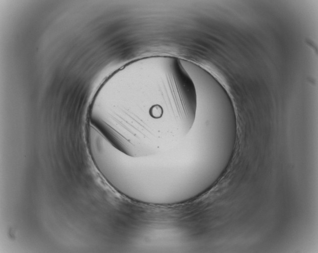 X0000103171104200809121855