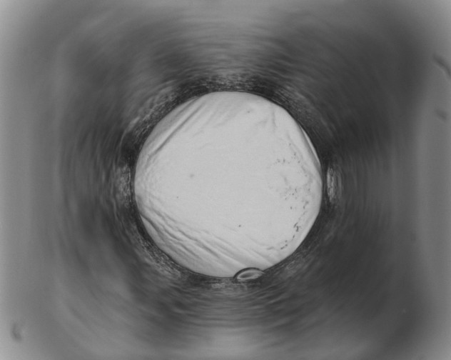 X0000103171107200809121854