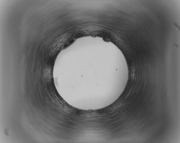 X0000103171108200809121854