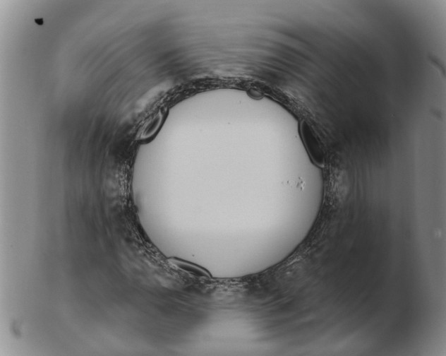 X0000103171110200809121854