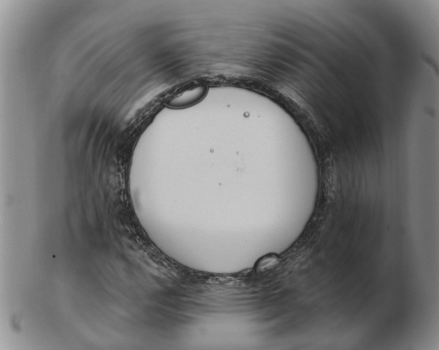 X0000103171112200809121854