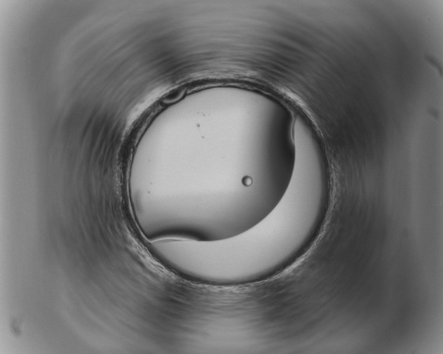 X0000103171114200809121854