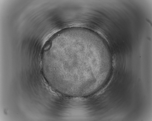 X0000103171117200809121855