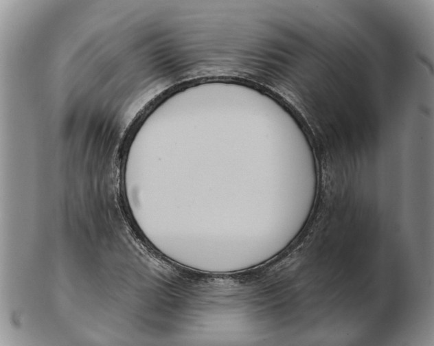 X0000103171119200809121855