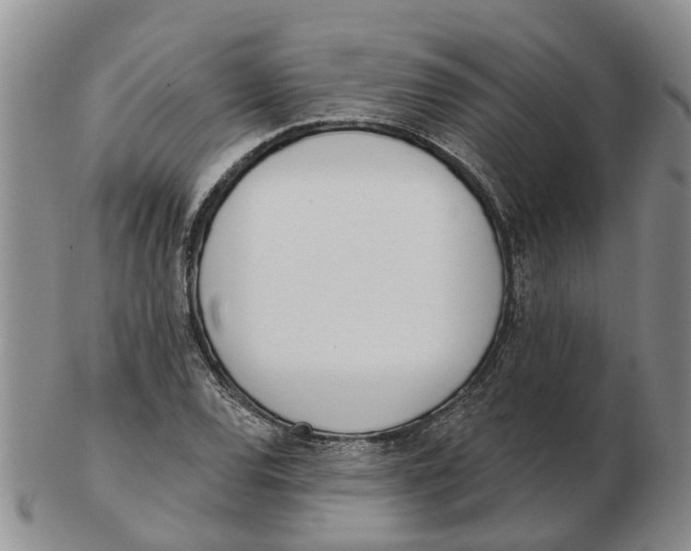 X0000103171120200809121855