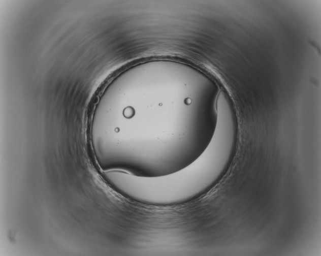 X0000103171124200809121855