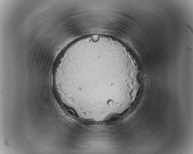 X0000103171125200809121855