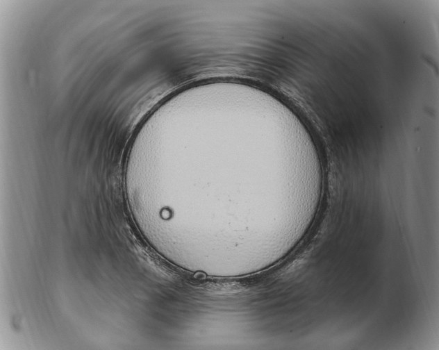 X0000103171129200809121855