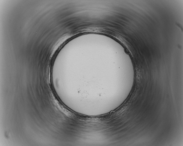 X0000103171131200809121855