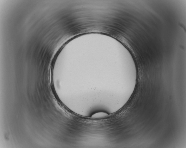 X0000103171132200809121855