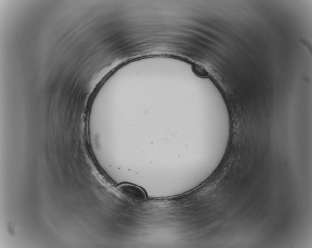 X0000103171134200809121855