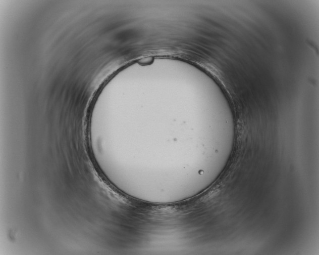 X0000103171135200809121855