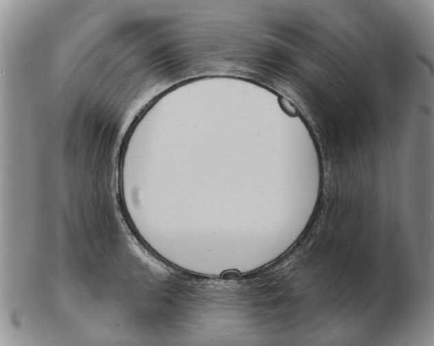 X0000103171136200809121855