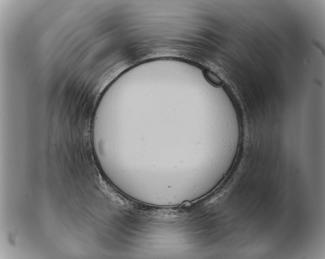 X0000103171137200809121855