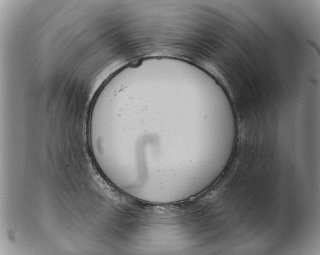 X0000103171138200809121855