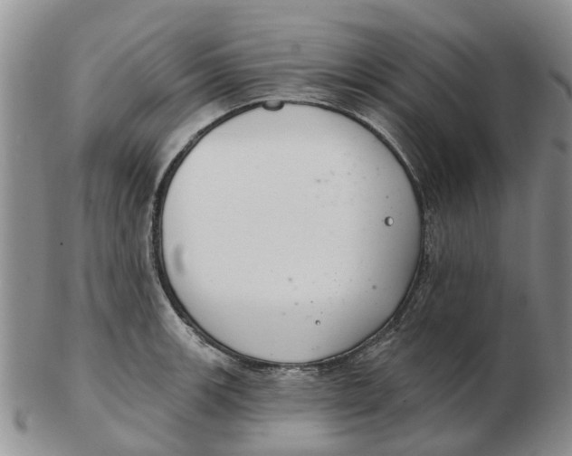 X0000103171139200809121855