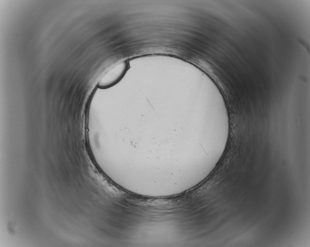 X0000103171140200809121855