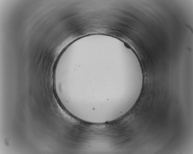 X0000103171143200809121855