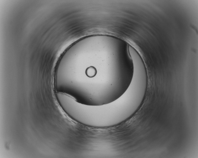 X0000103171144200809121855