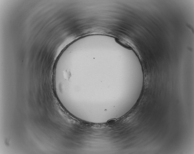 X0000103171146200809121855