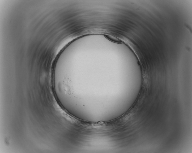 X0000103171147200809121855