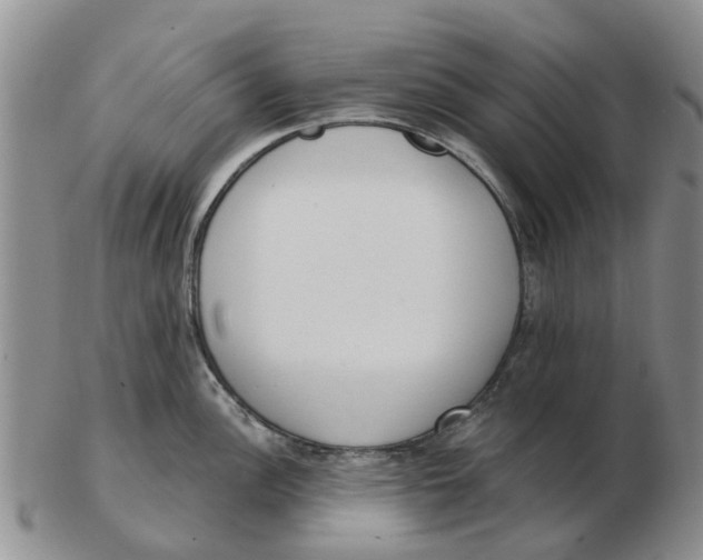 X0000103171148200809121855