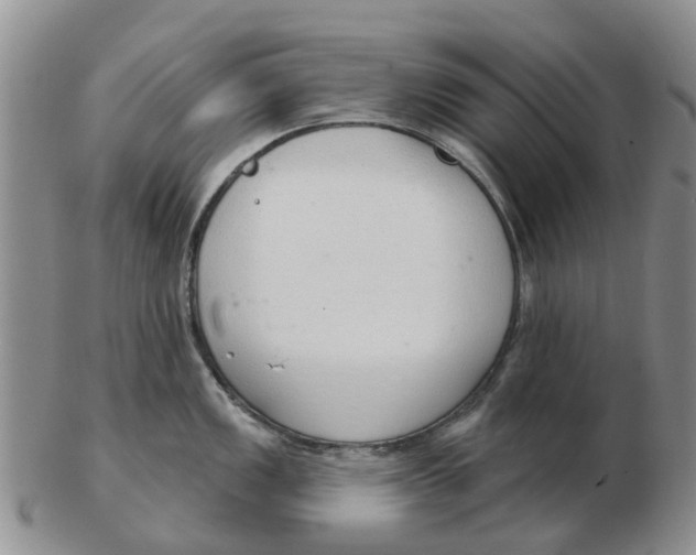 X0000103171149200809121855