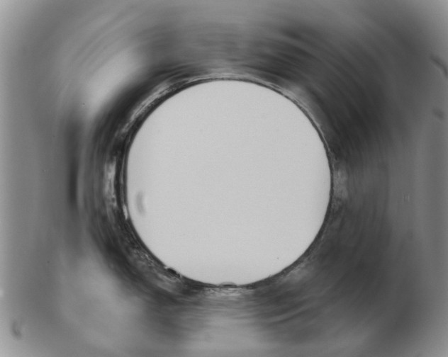 X0000103171150200809121855