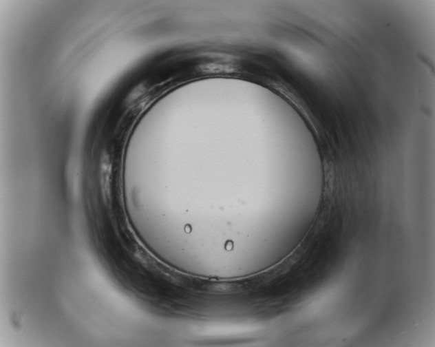 X0000103171151200809121855