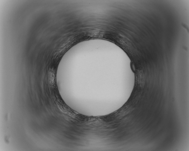 X0000103171154200809121854