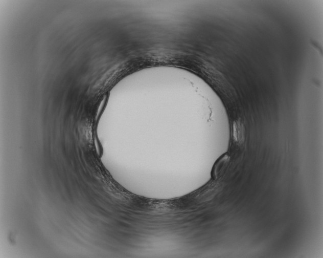 X0000103171155200809121854