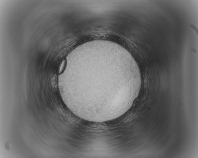 X0000103171156200809121854