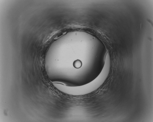 X0000103171157200809121854