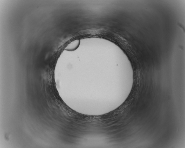 X0000103171158200809121854