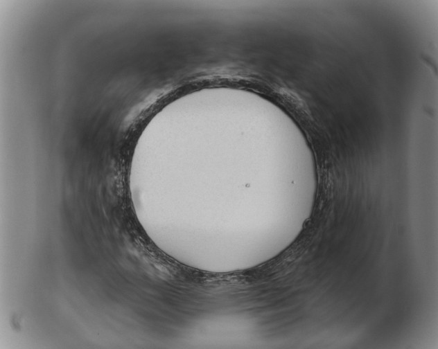 X0000103171159200809121854